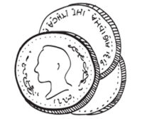 6 6